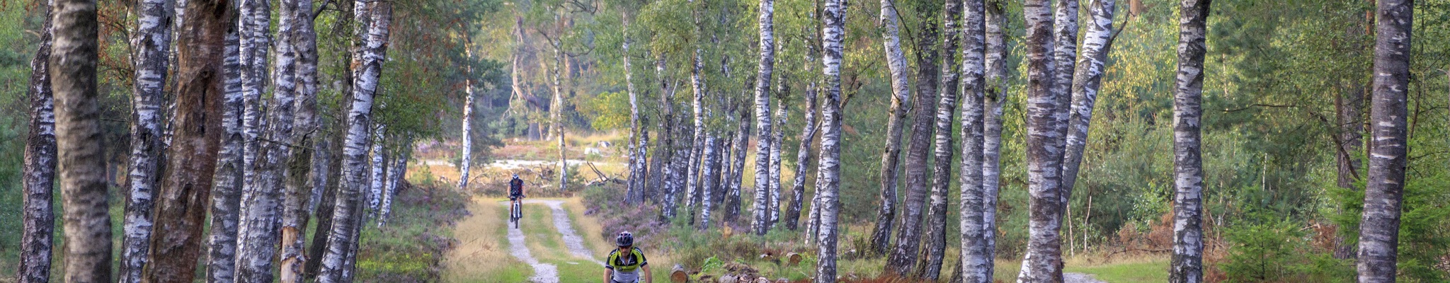 Nieuwe mountainbikeroutes op de Veluwe