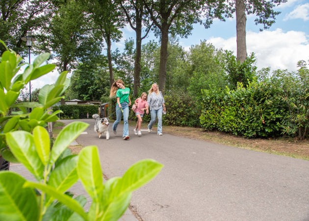 Residence De Leuvert Vakantiegasten Wandelen Over Het Park 23