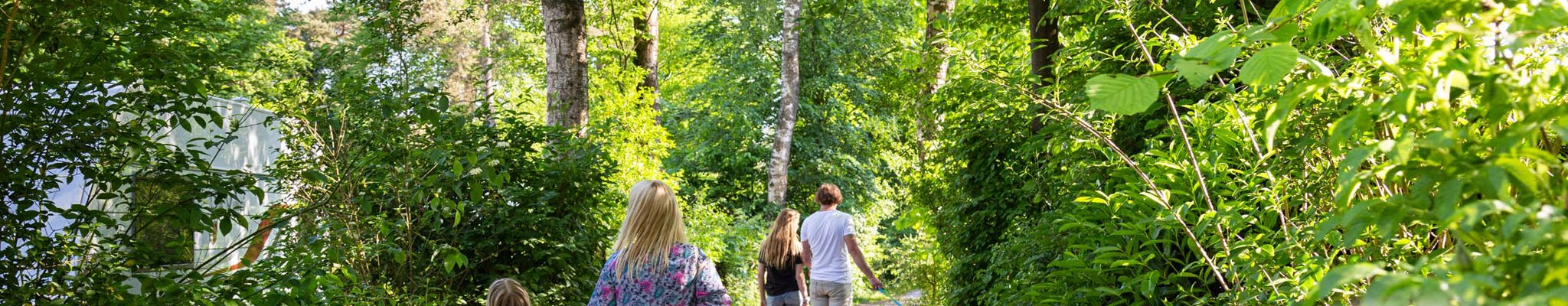 Resort Veluwe vakantiegasten wandelen in bos