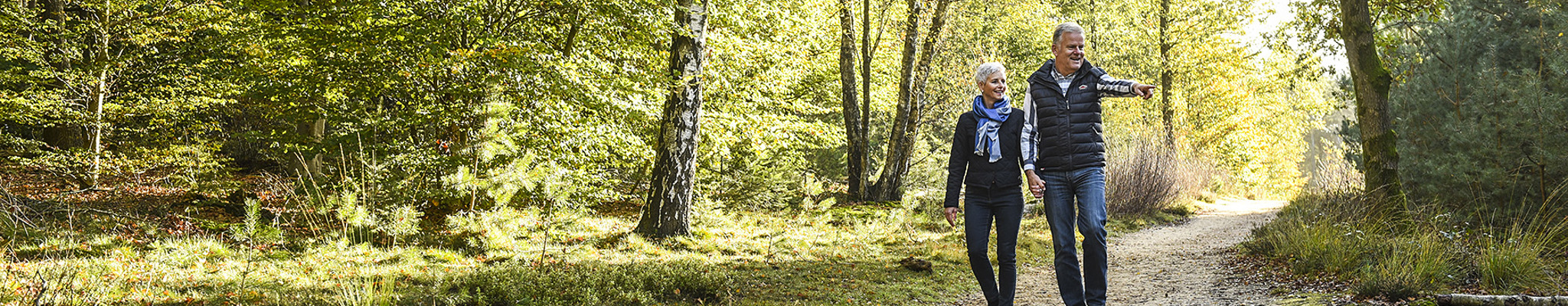 Onze tips voor een wandeling in Lage Vuursche